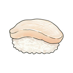 Watercolor Scallop Sushi Art Illustration