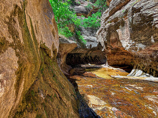 Obraz premium Looking into the tunnel of The Subway in Zion National Park with high red and orange cliffs with pools of water, travel hiking destination in southern Utah USA