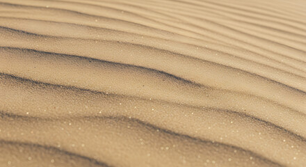 Close-up of golden sand dunes with subtle, natural ripples and textures, illuminated by soft light. Represents desert, nature, tranquility, texture, and abstract patterns.

