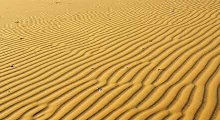 Obraz premium Golden sand dune ripples creating a textured desert landscape with subtle shading