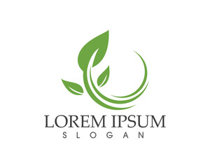 leaf green nature logo and symbol template Vector