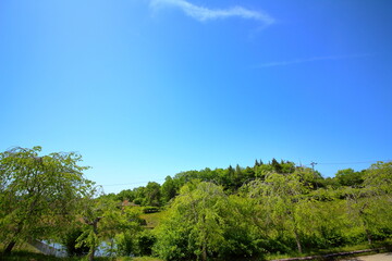 青空と自然の緑