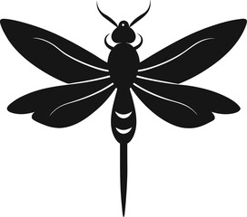 dragonfly on a white background