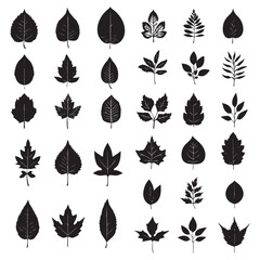Collection of black silhouettes of various leaves