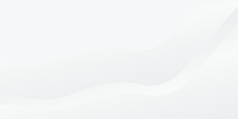 Modern white and gray background with gradient color and artistic dynamic abstract simple