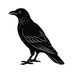  crow black silhoutte vector art illustration