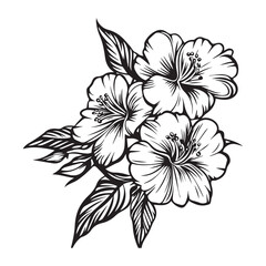 Obraz premium Elegant black and white hibiscus flower bouquet illustration