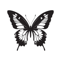 Elegant black butterfly silhouette wings nature