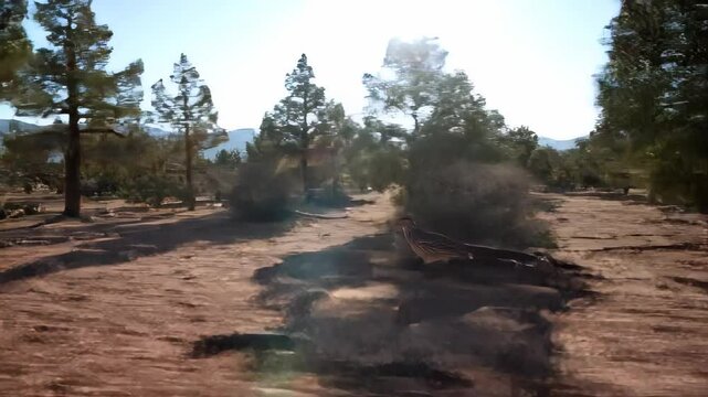 Roadrunner Strutting Through Arid Landscape with Sparse Trees and Bright Sky