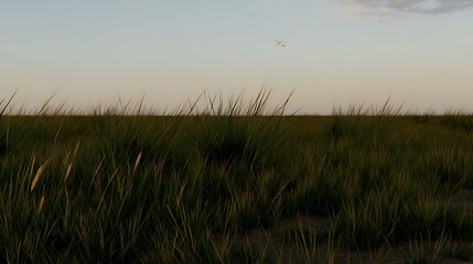 Fototapeta premium Grassland under soft sky with single bird