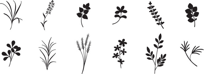 Botanical Silhouettes. Vector Set of Leaves, Flowers, and Branches for Natural Design.