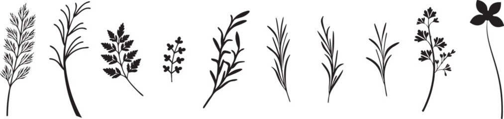 Botanical Silhouettes. Vector Set of Leaves, Flowers, and Branches for Natural Design.