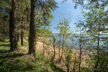 A lake surrounded by a spring forest, Russia.
