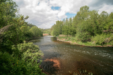 Borovka River, Buzuluksky forest, Russia.