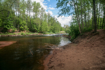 Borovka River, Buzuluksky forest, Russia.