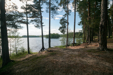 A lake surrounded by a spring forest, Russia.