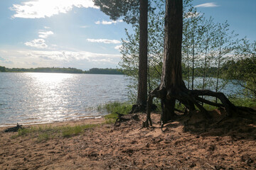 A lake surrounded by a spring forest, Russia.