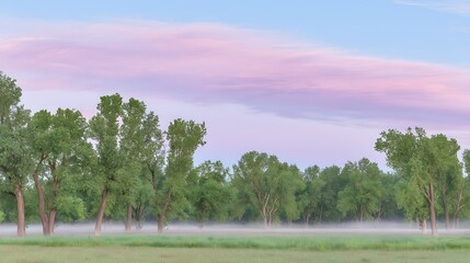 Foggy morning paints dreamy pastel landscape