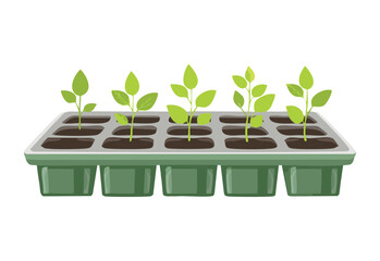 Green Seedlings in Nursery Starter Tray