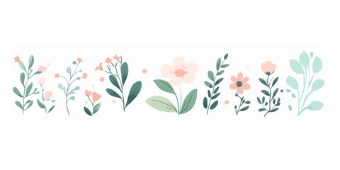 tulip flowers vector illustration