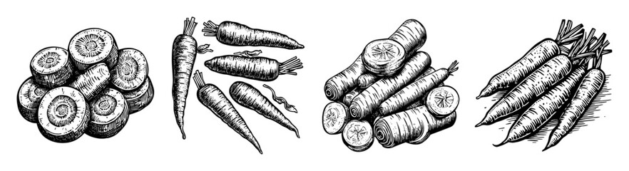 Vintage Style Carrot Illustrations with Detailed Line Art Elements
