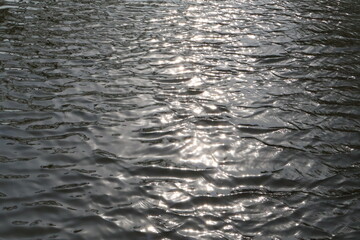 Obraz premium sparkling ripples on the water