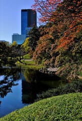 Fototapeta premium 日本、東京、小石川後楽園、庭園、都立庭園、大名庭園、日本庭園、通天橋、池塘、綠色、風景、重要文化財、木造建築、写真素材