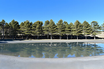 Serene Lake Reflection Photo