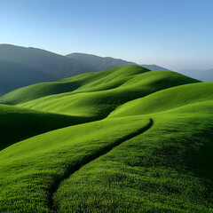 Rolling Green Hills Landscape Photo