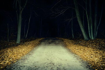 Night Forest Path, Autumn Leaves, Dark Trees, Nature Illustration