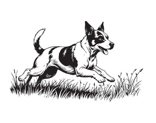 Energetic Jack Russell Terrier running through a grassy field in detailed black and white vector style. Perfect for pet, dog, or outdoor themes.