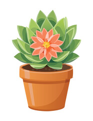 Terracotta Pot Succulent with Orange Blooms