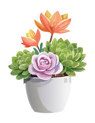 Vibrant Succulent with Orange Flowers