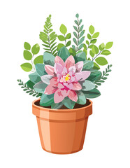 Colorful Succulent with Pink Flowers
