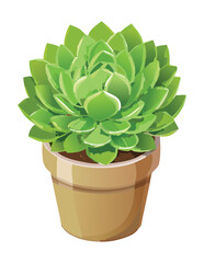 Green Succulent Plant in Terracotta Pot