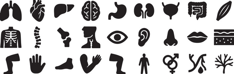 human, body, parts, organs, silhouette, anatomy, medical, health, diagram, science, illustration, vector, lungs, heart, liver, brain, stomach, kidneys, bladder, 