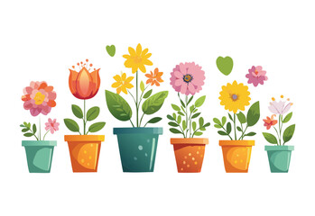 Assorted Bright Flowers in Decorative Pots