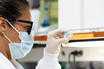 scientific woman, laboratory, microscopy, microscopy slide, Phatology, research, scientific, biological samples, slide, microscope, medical, Medicine, pathological, tissue sample