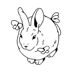 adorable rabbit and butterfly line art - nature illustration