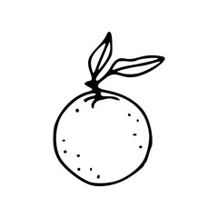 simple orange fruit with leaves line art