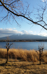 kawaguchiko and mt.fuji