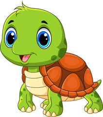 Illustration of Cute Cartoon Turtle on a white background