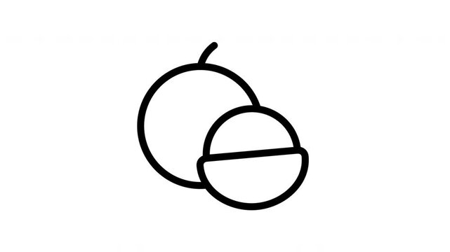 longan minimalist stroke animation