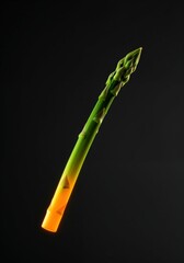 Fresh asparagus vegetable healthy food green asparagus spears on dark background