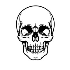Bold Human Skull Vector Line Art