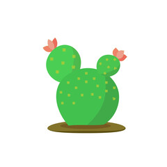 Cactus Illustration Flat Design Vector