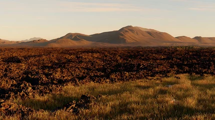 Fototapete Rund Dramatic landscape of volcanic rock and grass © vera