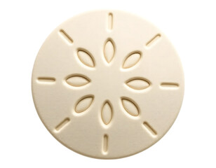 Obraz premium Sand Dollar on Transparent Background