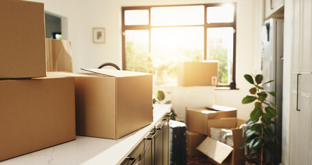 Empty, house and boxes with relocation for property migration or eviction notice in apartment....