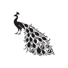 Fototapeta premium Peacock Silhouette on white background Majestic Bird with Elaborate Tail 